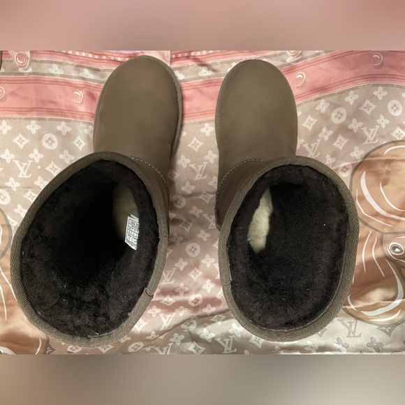 Brown Classic Short Ugg Boot - Picture 5 of 8